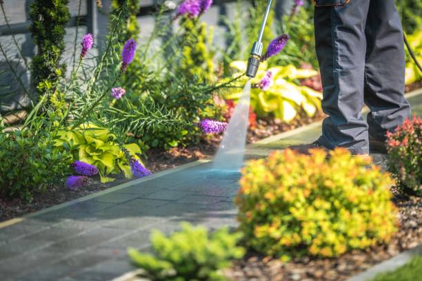 Best Pool Deck Cleaning  in Quincy, IL